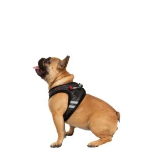 Trespaws Lola - Hundesele - Sort med reflex-XS