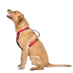 Trespaws Mini Tanked - Hundesele - Rød - Flere størrelser-L-XL