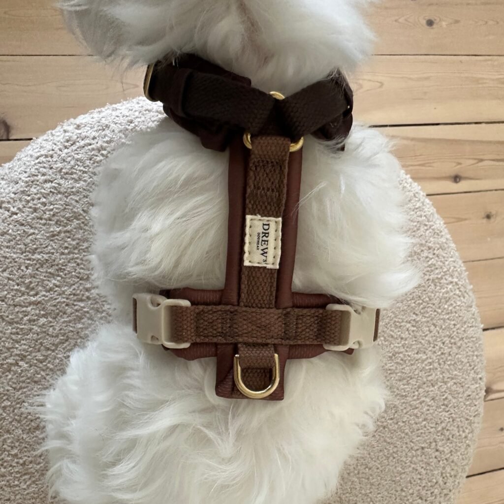 Chocolate PRO / Justerbar hundesele (mørkebrun) - XS / Mørkebrun