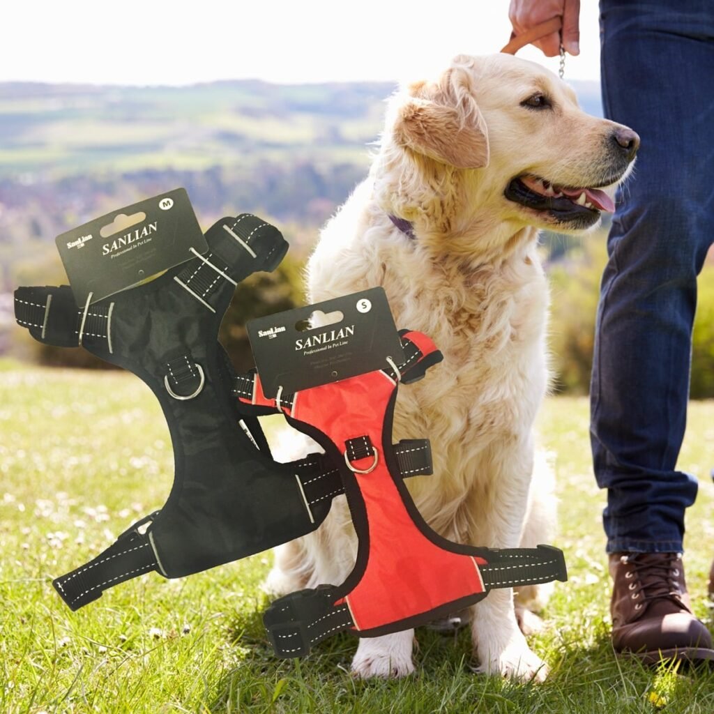 Hundesele rød eller sort i 5 størrelser - Rød XS