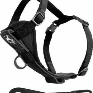 Kurgo - Bil Sele Tru-fit Hundesele Large 23-36kg Med Rem Til Sikkerheds Sele I Bil