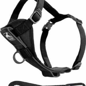 Kurgo -bil Sele Tru-fit Hundesele Med Rem Til Sikkerhedsele M 11-23 Kg Sort