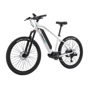 L5 Elcykel (25 km/t)