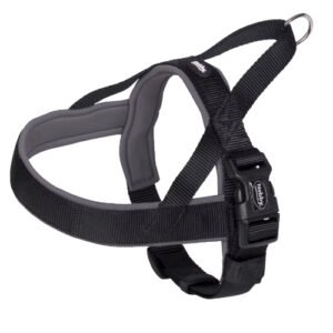 Nobby Hundesele Sort/Blå Classic Preno