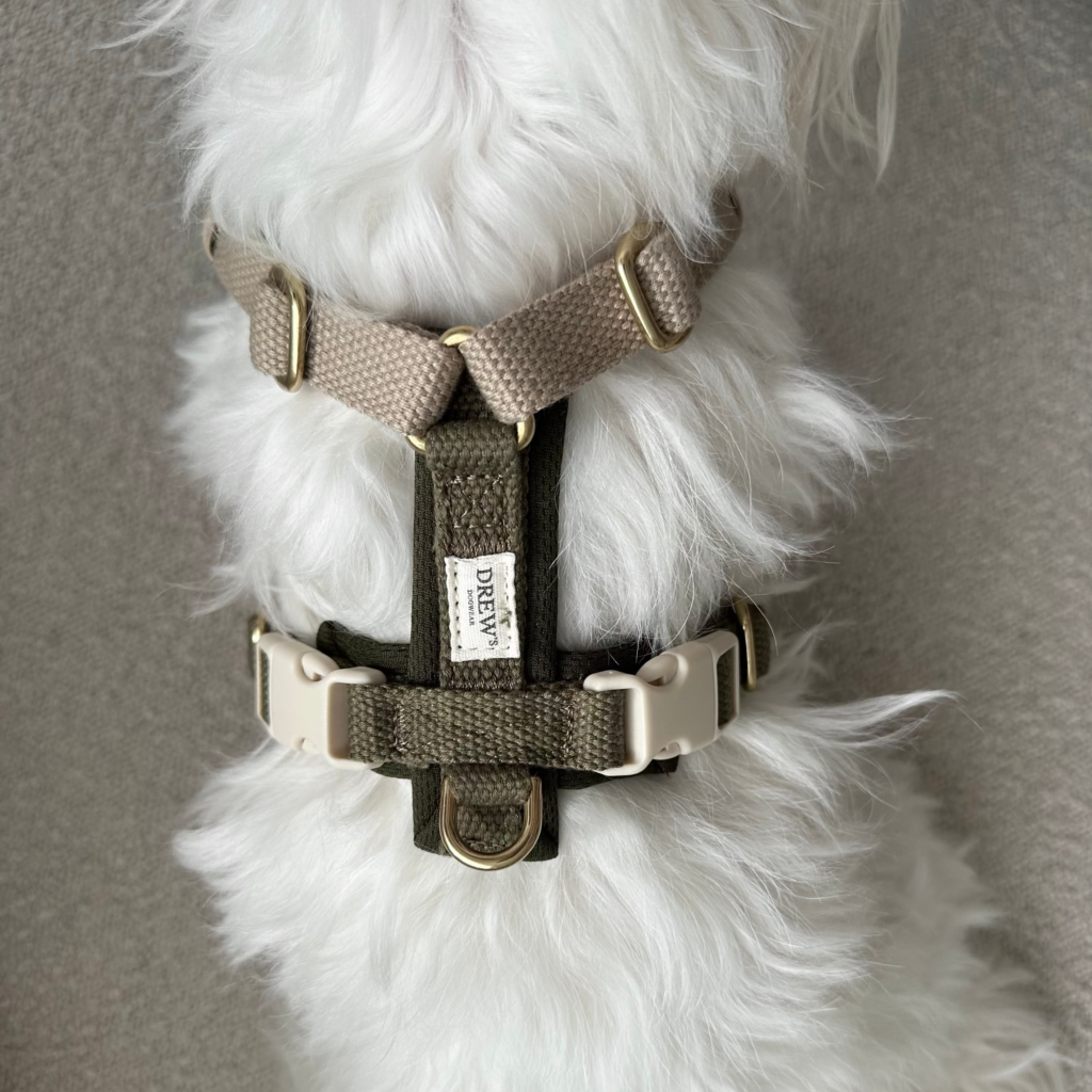 Olive PRO / Justerbar hundesele (grøn/beige) - XS / grøn/Beige