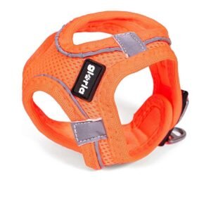 Gloria Hundesele Air Mesh Trek Star - Justerbar - Orange XXXS (18-20 cm)