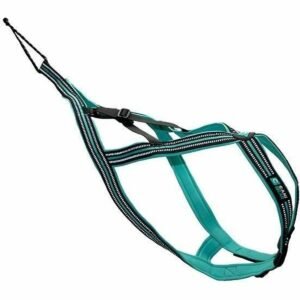 Olympia Hundesele - XL hundesele i polyester