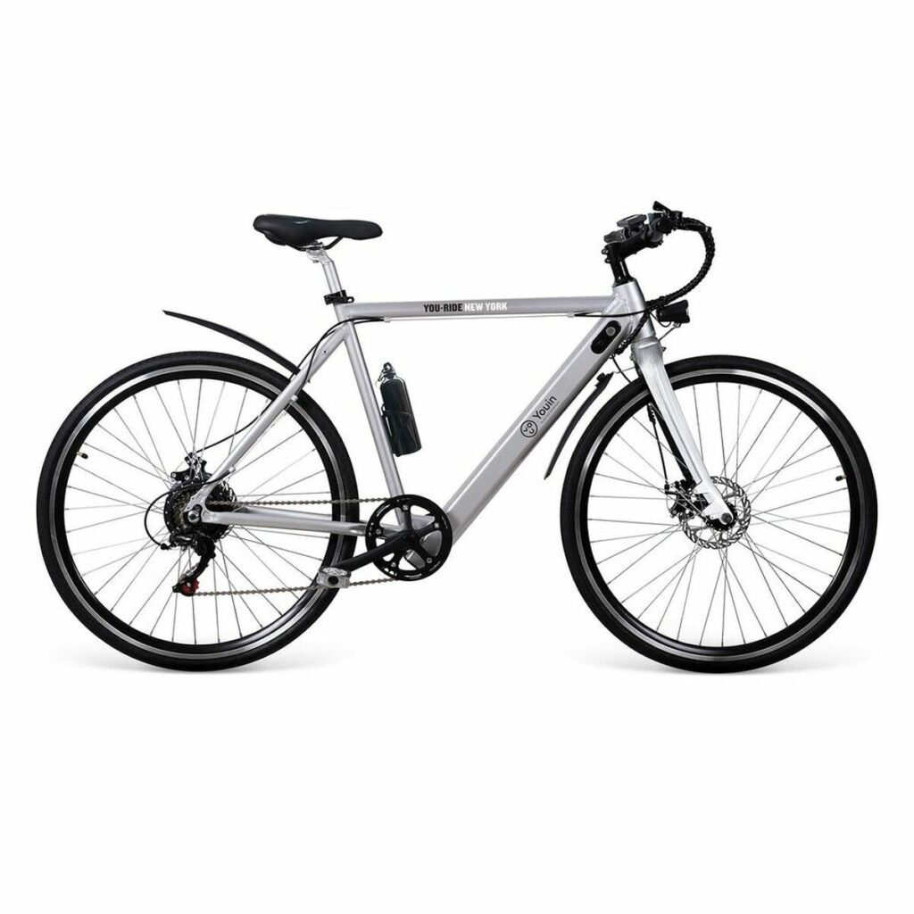 Youin BK1500 NEW YORK elcykel 29" - 250 W, grå