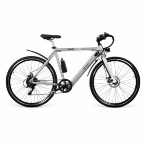 Youin BK1500 NEW YORK elcykel 29" - 250 W, grå