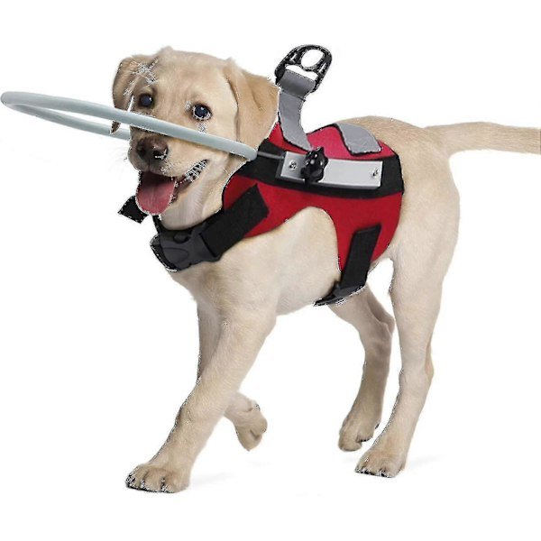 Blind Hundesele Guiding Device, Blind Hunde Halo, Anti-kollisionsring til kæledyr for at beskytte katte og hunde med blindhed, sløret syn