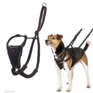 Halti No Pull Hundesele - Sort (XS)