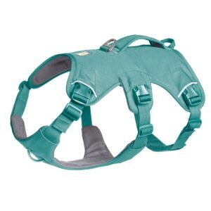 Ruffwear Web Master Hundesele med Håndtag – River Rock Green (XXS)