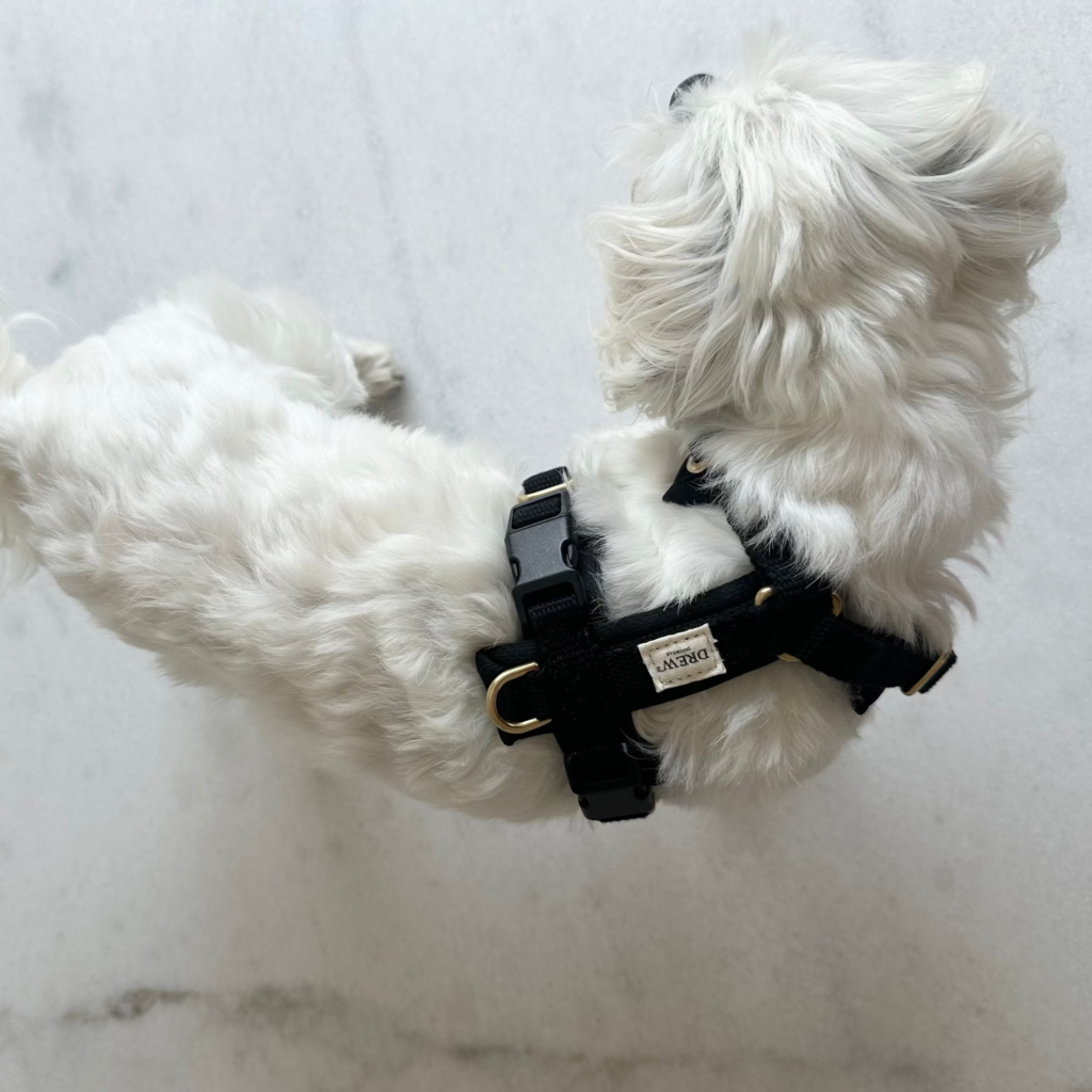 Sort PRO / Justerbar hundesele (Sort) - XS / Sort