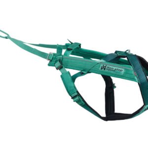 Non-Stop Dogwear Freemotion 5.0 Hundesele – Aqua (3)