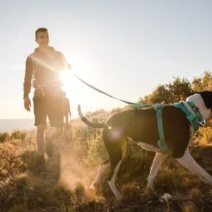 Ruffwear Front Range Hundesele - Aurora Teal, L/XL - kun dette eksemplar