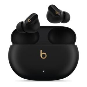 Apple Beats Studio Buds + Black / Gold