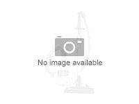 Dyson V12 Origin ledningsfri støvsuger 120 W 0,35 l