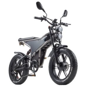 RANDRIDE DM711 Voksen Elcykel 2000W Børsteløs 20 tommers Dæk Alle Terrain Elektrisk Cykel 48V 20AH Batteri City Commuter E-cykel