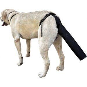 Halebeskytter til hund, Halebeskytter til hund Halebeskyttelse til sår Sort Hundesele - L størrelse - Perfekt