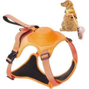 Hundesele med rulleline som én, No-Pull kæledyrsele med justerbar blød polstret hundevest 1,2 m automatisk låsende hund (L)