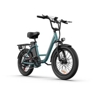 URLIFE E20 Elcykel - 250W Motor, 48V 13Ah Aftageligt Batteri, 100 km Rækkevidde, 3,0" Dæk